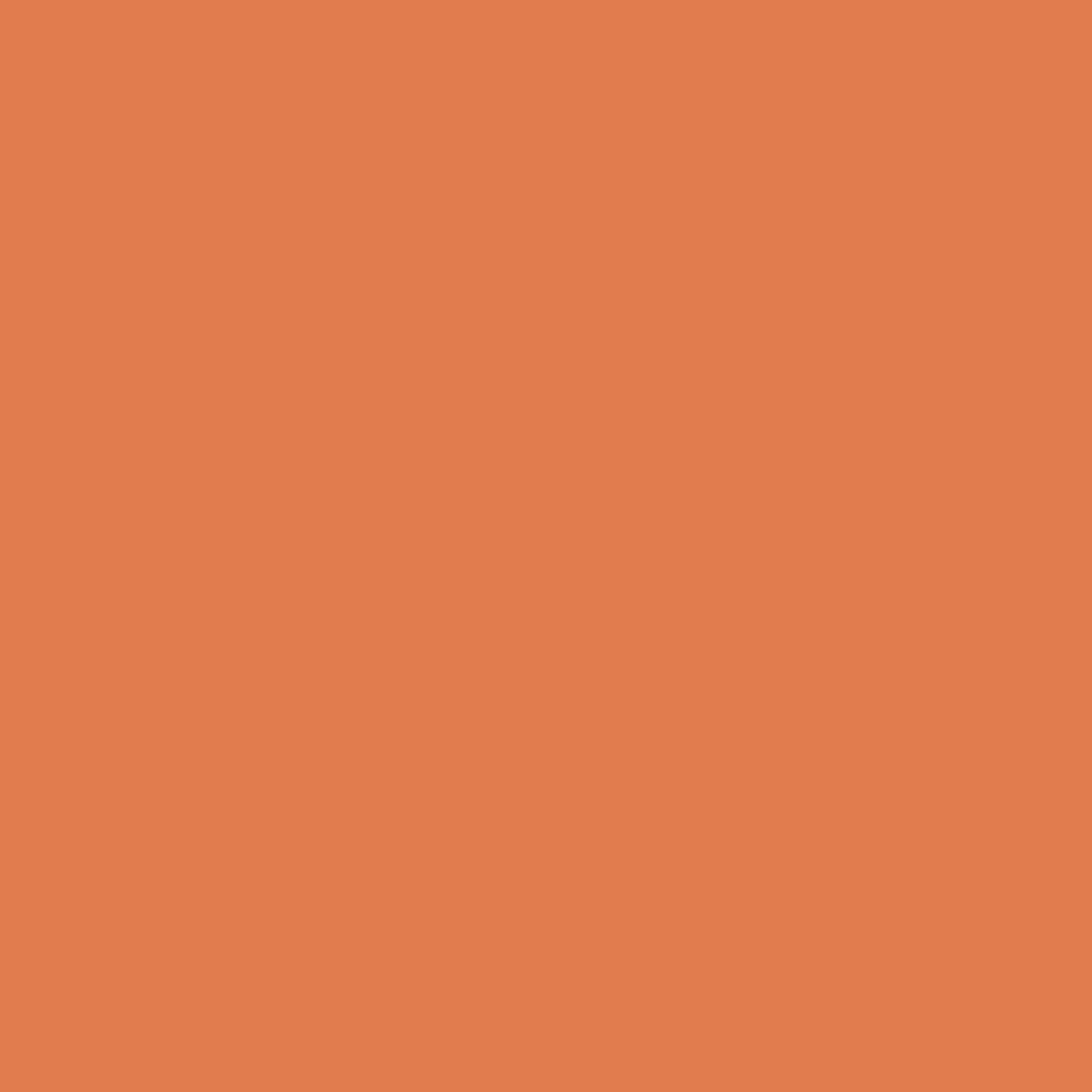 PAINTER'S PALETTE Jack O' Lantern Solid Yardage