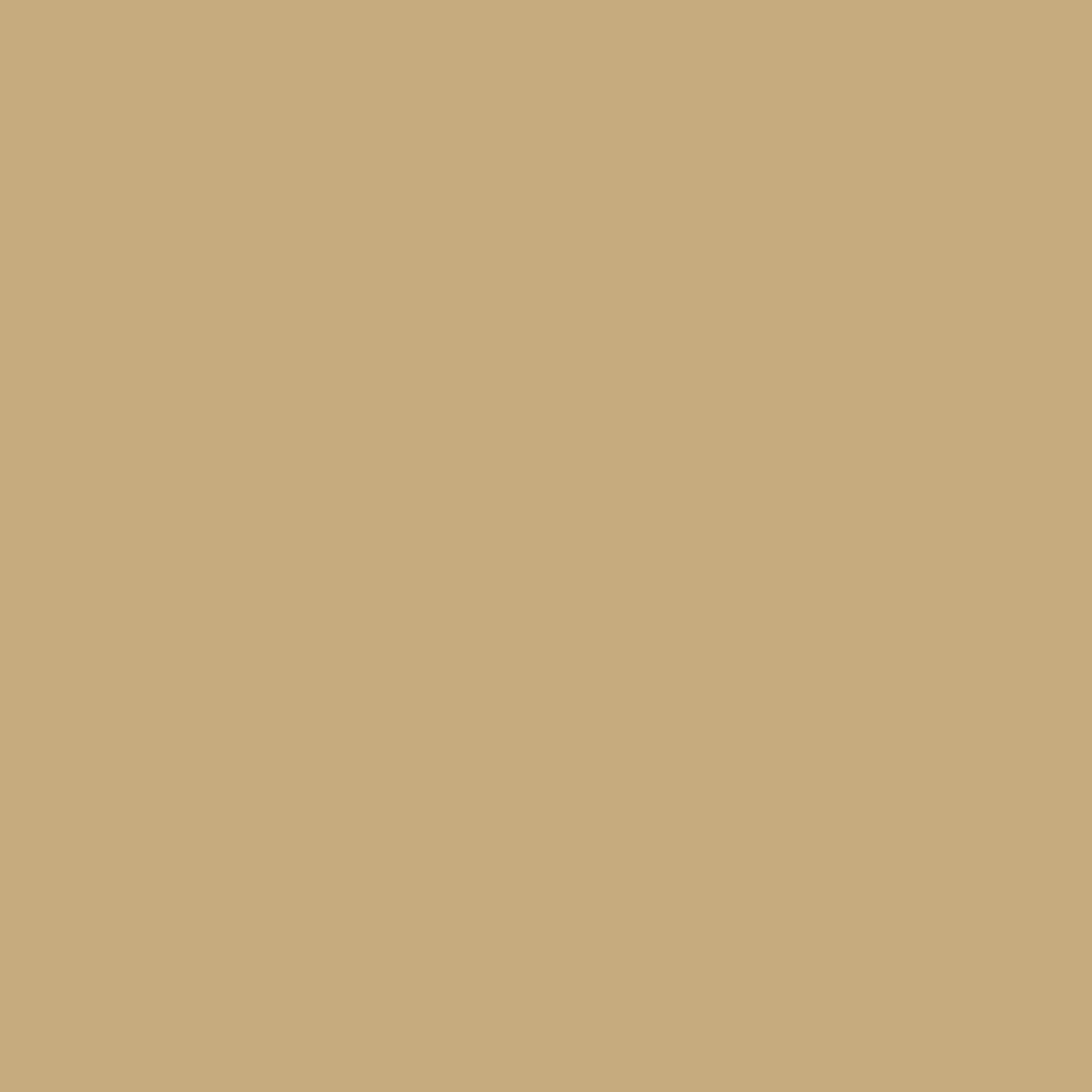 PAINTER'S PALETTE Beige Yardage