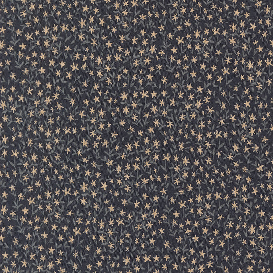 AUTUMN FOREST Midnight Withering Daisy Yardage