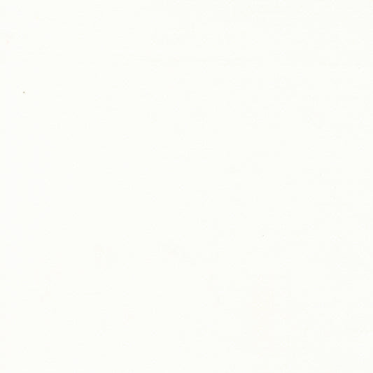 EYELET Ivory Yardage