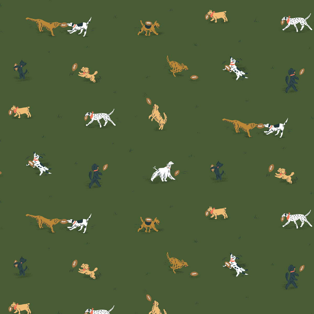 TOUCHDOWNS & TAILWAGS- Playing Field