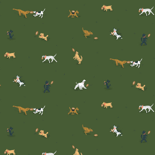 TOUCHDOWNS & TAILWAGS- Playing Field