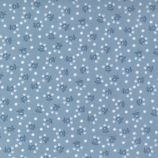 NANTUCKET SUMMER Fairgroud Light Blue Yardage