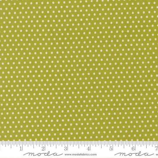 ANIMAL PARK FUN Dotty Dot Iguana Yardage