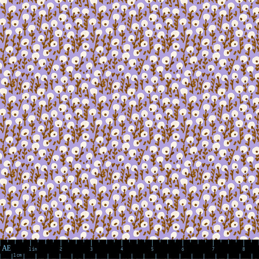 August Ellery Seedling Drift  Evening Crocus Yardage