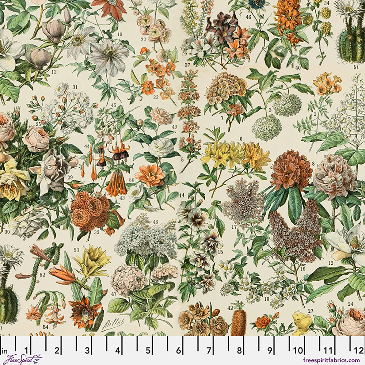 PALETTE CANVAS CLOTH Orange Botanical Canvas - Orange Yardage
