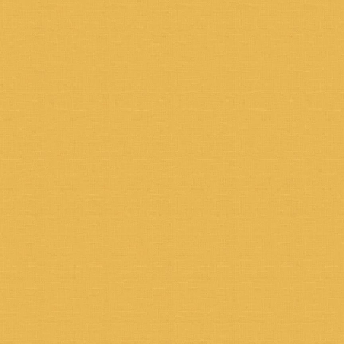 FAIRFAX Solid Honey Yardage