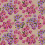 GOLDEN HARVEST- Asters Fuchsia
