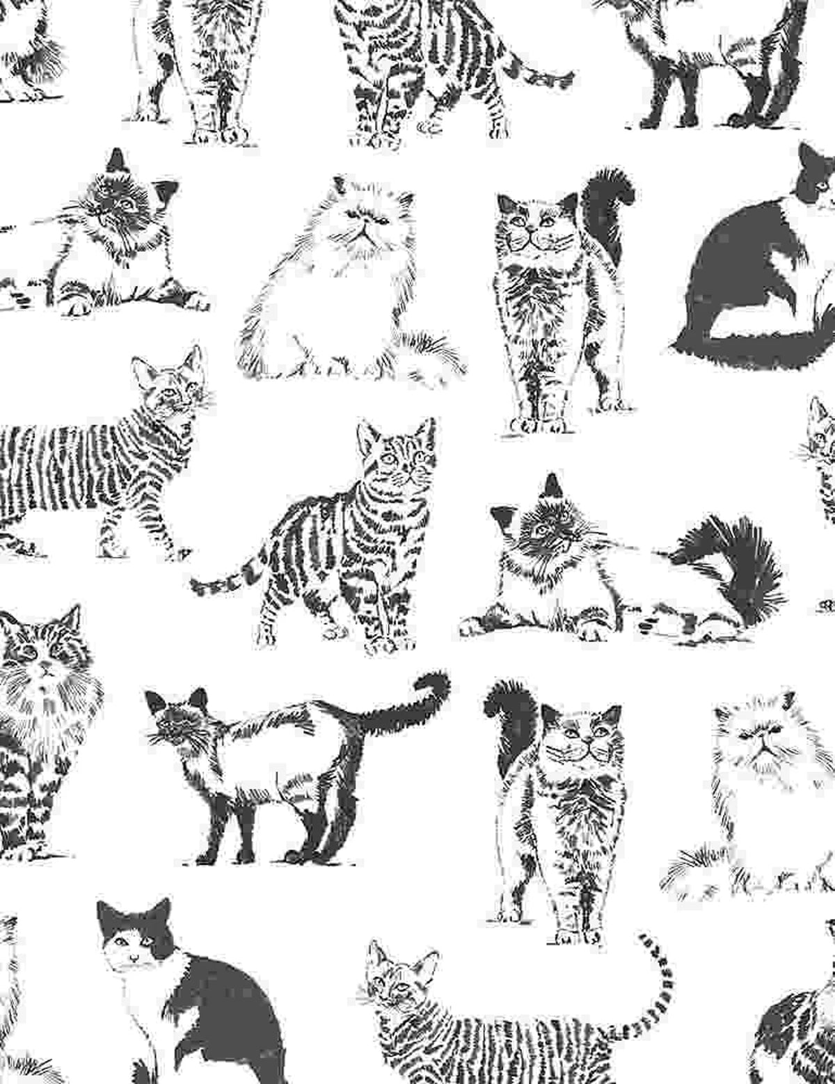 3 1/4yds Timeless Treasures Cats Remnant